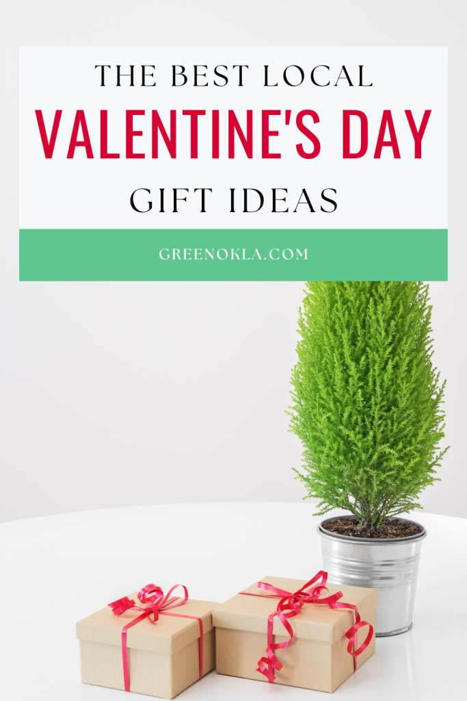 green plant with brown boxes with red ribbon and text overlay the best local Valentine's Day gifts ideas