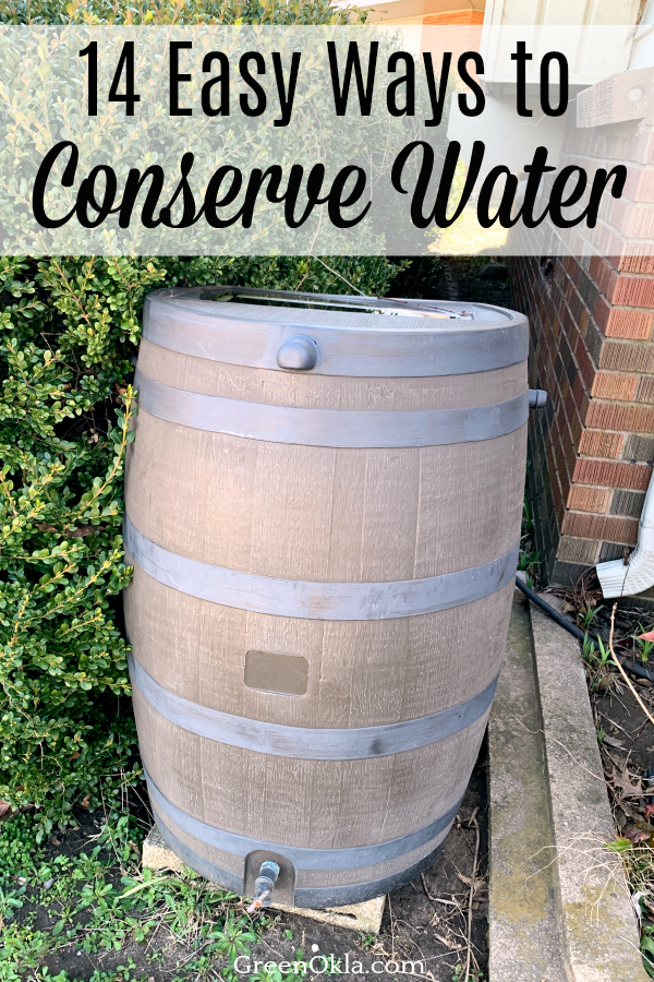 rain barrel next to house and bushes