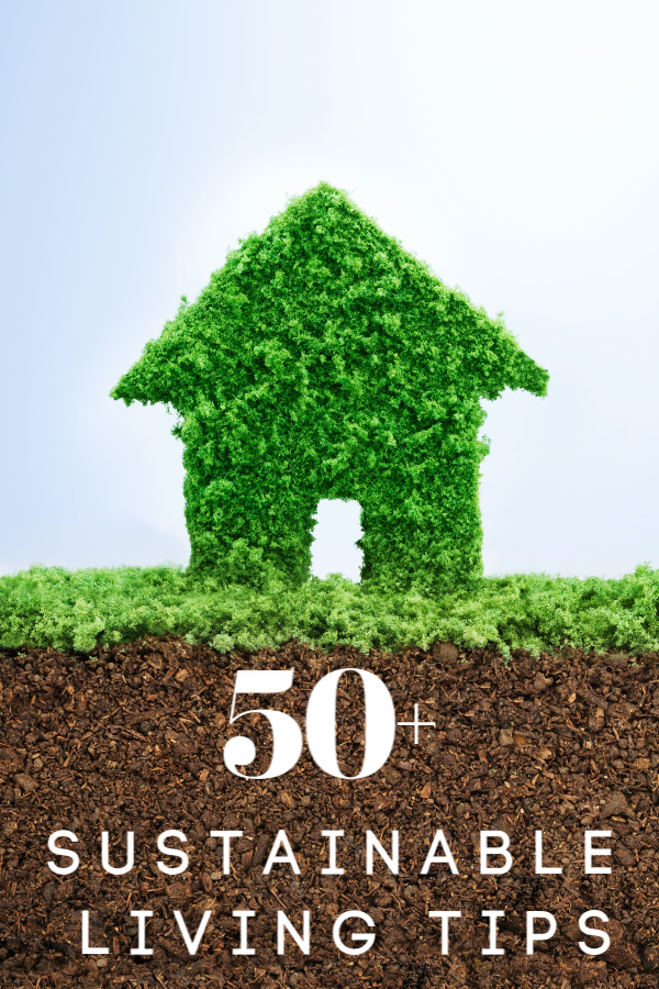 Environmentally friendly living concept with grass in shape of a house with text 50+ sustainable living tips